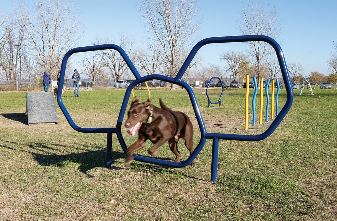 Dog Park Equipment, Northern Texas