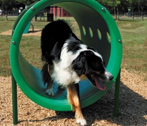 Bark Park - Doggie Crawl