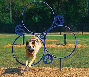 Bark Park - Hoop Jump