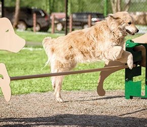 Bark Park - Rover Jump Over