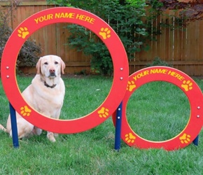 Dog-On-It - Double Hoop Jump